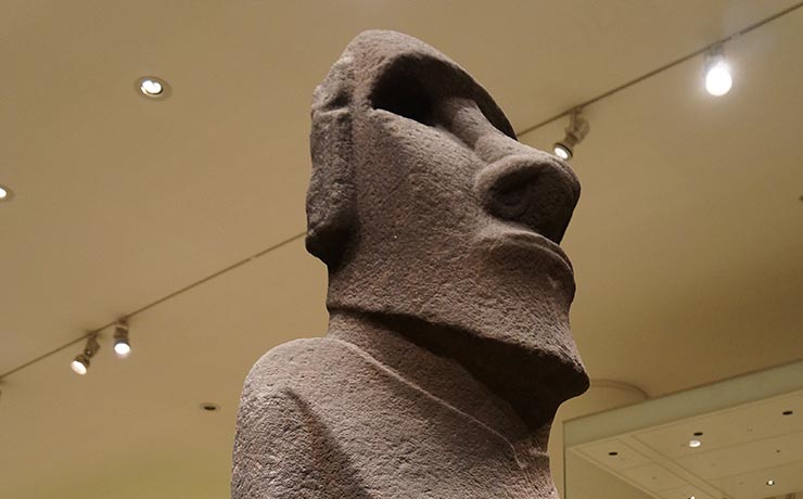 Head